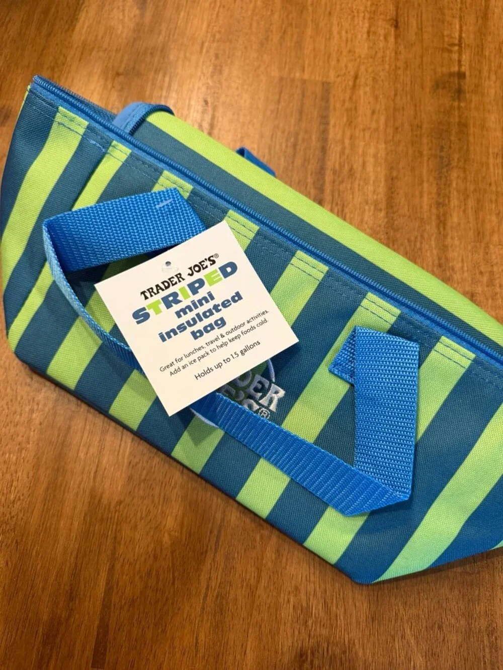 Trader Joe's Limited Edition Striped Mini Insulated Cooler Bags – Pink & Blue/Gr